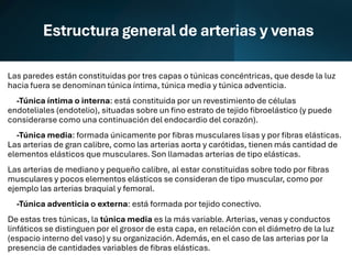 Estructura general de arterias y venas
Las paredes están constituidas por tres capas o túnicas concéntricas, que desde la luz
hacia fuera se denominan túnica íntima, túnica media y túnica adventicia.
-Túnica íntima o interna: está constituida por un revestimiento de células
endoteliales (endotelio), situadas sobre un fino estrato de tejido fibroelástico (y puede
considerarse como una continuación del endocardio del corazón).
-Túnica media: formada únicamente por fibras musculares lisas y por fibras elásticas.
Las arterias de gran calibre, como las arterias aorta y carótidas, tienen más cantidad de
elementos elásticos que musculares. Son llamadas arterias de tipo elásticas.
Las arterias de mediano y pequeño calibre, al estar constituidas sobre todo por fibras
musculares y pocos elementos elásticos se consideran de tipo muscular, como por
ejemplo las arterias braquial y femoral.
-Túnica adventicia o externa: está formada por tejido conectivo.
De estas tres túnicas, la túnica media es la más variable. Arterias, venas y conductos
linfáticos se distinguen por el grosor de esta capa, en relación con el diámetro de la luz
(espacio interno del vaso) y su organización. Además, en el caso de las arterias por la
presencia de cantidades variables de fibras elásticas.
 