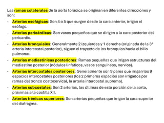 Las ramas colaterales de la aorta torácica se originan en diferentes direcciones y
son:
- Arterias esofágicas: Son 4 o 5 que surgen desde la cara anterior, irrigan el
esófago.
- Arterias pericárdicas: Son vasos pequeños que se dirigen a la cara posterior del
pericardio.
- Arterias bronquiales: Generalmente 2 izquierdas y 1 derecha (originada de la 3°
arteria intercostal posterior), siguen el trayecto de los bronquios hacia el hilio
pulmonar.
- Arterias mediastínicas posteriores: Ramas pequeñas que irrigan estructuras del
mediastino posterior (nódulos linfáticos, vasos sanguíneos, nervios).
- Arterias intercostales posteriores: Generalmente son 9 pares que irrigan los 9
espacios intercostales posteriores (los 2 primeros espacios son irrigados por
ramas del tronco costocervical, la arteria intercostal suprema).
- Arterias subcostales: Son 2 arterias, las últimas de esta porción de la aorta,
próximas a la costilla XII.
- Arterias frénicas superiores: Son arterias pequeñas que irrigan la cara superior
del diafragma.
 