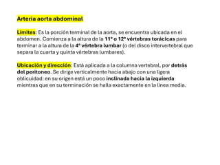 Arteria aorta abdominal
Límites: Es la porción terminal de la aorta, se encuentra ubicada en el
abdomen. Comienza a la altura de la 11° o 12° vértebras torácicas para
terminar a la altura de la 4° vértebra lumbar (o del disco intervertebral que
separa la cuarta y quinta vértebras lumbares).
Ubicación y dirección: Está aplicada a la columna vertebral, por detrás
del peritoneo. Se dirige verticalmente hacia abajo con una ligera
oblicuidad: en su origen está un poco inclinada hacia la izquierda
mientras que en su terminación se halla exactamente en la línea media.
 