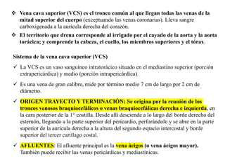 Sistema de la vena cava superior (VCS)
✓ La VCS es un vaso sanguíneo intratorácico situado en el mediastino superior (porción
extrapericárdica) y medio (porción intrapericárdica).
✓ Es una vena de gran calibre, mide por término medio 7 cm de largo por 2 cm de
diámetro.
✓ ORIGEN TRAYECTO Y TERMINACIÓN: Se origina por la reunión de los
troncos venosos braquiocefálicos o venas braquiocefálicas derecha e izquierda, en
la cara posterior de la 1° costilla. Desde allí desciende a lo largo del borde derecho del
esternón, llegando a la parte superior del pericardio, perforándolo y se abre en la parte
superior de la aurícula derecha a la altura del segundo espacio intercostal y borde
superior del tercer cartílago costal.
✓ AFLUENTES: El afluente principal es la vena ácigos (o vena ácigos mayor).
También puede recibir las venas pericárdicas y mediastínicas.
❖ Vena cava superior (VCS) es el tronco común al que llegan todas las venas de la
mitad superior del cuerpo (exceptuando las venas coronarias). Lleva sangre
carboxigenada a la aurícula derecha del corazón.
❖ El territorio que drena corresponde al irrigado por el cayado de la aorta y la aorta
torácica; y comprende la cabeza, el cuello, los miembros superiores y el tórax.
 