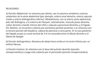RELACIONES:
a) Porción Abdominal: se relaciona por detrás, con la columna vertebral y arterias
colaterales de la aorta abdominal (por ejemplo, arteria renal derecha, arteria capsular
media y arteria diafragmática inferior). Medialmente, con la arteria aorta abdominal,
pilar del diafragma, y la cisterna de Pecquet. Lateralmente, músculo psoas derecho,
uréter derecho y borde interno del riñón y cápsula suprarrenal derechos y el hígado.
Por delante, se encuentra cubierta por peritoneo parietal posterior y se relaciona con
la tercera porción del duodeno, cabeza de páncreas y vena porta. En la cara posterior
del hígado ocupa un canal vertical de 3-4 cm excavado entre el lóbulo derecho y el
lóbulo de Spiegel.
b) Porción diafragmática: Atraviesa de abajo hacia arriba en el centro frénico por un
orificio fibroso.
c) Porción torácica: Se relaciona con la base del pulmón derecho (porción
extrapericárdica) y luego está cubierta por el pericardio (porción intrapericárdica).
 