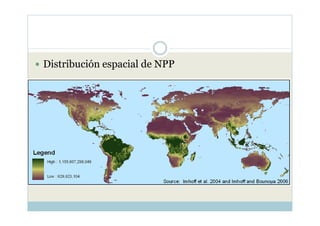 Distribución espacial de NPP
 