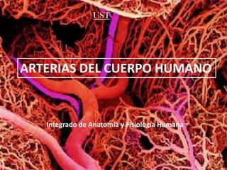 ARTERIAS DEL CUERPO HUMANO
UST
Integrado de Anatomía y Fisiología Humana
 