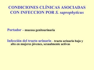 CONDICIONES CLÍNICAS ASOCIADAS
 CON INFECCION POR S. saprophyticus



Portador – mucosa genitourinaria


Infección del tracto urinario – tracto urinario bajo y
  alto en mujeres jóvenes, sexualmente activas
 