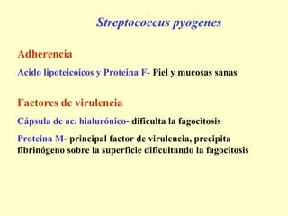 Streptococcus pyogenes

Adherencia
Acido lipoteicoicos y Proteina F- Piel y mucosas sanas


Factores de virulencia
Cápsula de ac. hialurónico- dificulta la fagocitosis
Proteina M- principal factor de virulencia, precipita
fibrinógeno sobre la superficie dificultando la fagocitosis
 