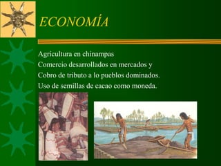 ECONOMÍA
Agricultura en chinampas
Comercio desarrollados en mercados y
Cobro de tributo a lo pueblos dominados.
Uso de semillas de cacao como moneda.
 