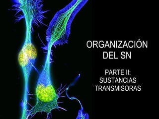 ORGANIZACIÓN
   DEL SN
    PARTE II:
  SUSTANCIAS
 TRANSMISORAS
 