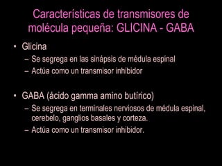 Características de transmisores de
    molécula pequeña: GLICINA - GABA
• Glicina
   – Se segrega en las sinápsis de médula espinal
   – Actúa como un transmisor inhibidor

• GABA (ácido gamma amino butírico)
   – Se segrega en terminales nerviosos de médula espinal,
     cerebelo, ganglios basales y corteza.
   – Actúa como un transmisor inhibidor.
 