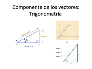 Componente de los vectores: Trigonometría  