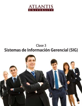 Clase 3
Sistemas de Información Gerencial (SIG)
 