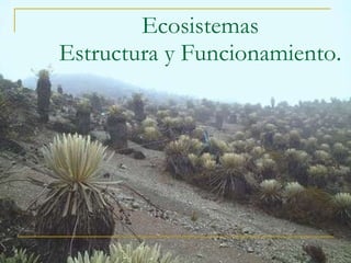 Ecosistemas Estructura y Funcionamiento.  