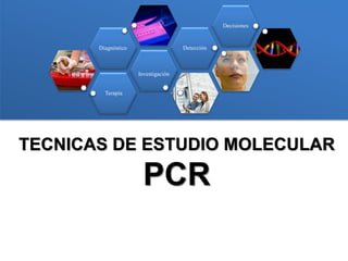 Decisiones

Detección

Diagnóstico

Investigación
Terapia

TECNICAS DE ESTUDIO MOLECULAR

PCR

 