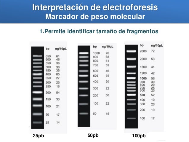 Clase 3