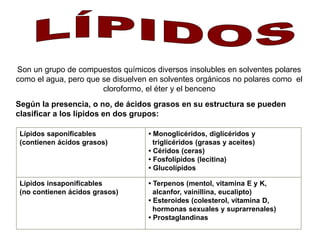Son un grupo de compuestos químicos diversos insolubles en solventes polares 
como el agua, pero que se disuelven en solventes orgánicos no polares como el 
cloroformo, el éter y el benceno 
Según la presencia, o no, de ácidos grasos en su estructura se pueden 
clasificar a los lípidos en dos grupos: 
Lípidos saponificables 
(contienen ácidos grasos) 
• Monoglicéridos, diglicéridos y 
..triglicéridos (grasas y aceites) 
• Céridos (ceras) 
• Fosfolípidos (lecitina) 
• Glucolípidos 
Lípidos insaponificables 
(no contienen ácidos grasos) 
• Terpenos (mentol, vitamina E y K, 
..alcanfor, vainillina, eucalipto) 
• Esteroides (colesterol, vitamina D, 
..hormonas sexuales y suprarrenales) 
• Prostaglandinas 
 