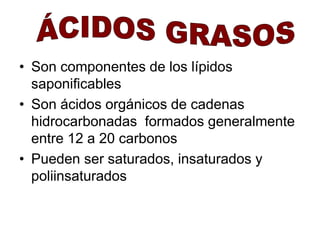 • Son componentes de los lípidos 
saponificables 
• Son ácidos orgánicos de cadenas 
hidrocarbonadas formados generalmente 
entre 12 a 20 carbonos 
• Pueden ser saturados, insaturados y 
poliinsaturados 
 