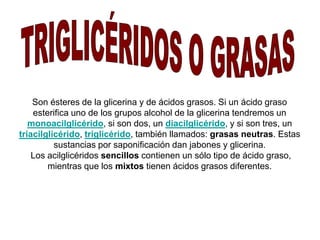 Son ésteres de la glicerina y de ácidos grasos. Si un ácido graso 
esterifica uno de los grupos alcohol de la glicerina tendremos un 
monoacilglicérido, si son dos, un diacilglicérido, y si son tres, un 
triacilglicérido, triglicérido, también llamados: grasas neutras. Estas 
sustancias por saponificación dan jabones y glicerina. 
Los acilglicéridos sencillos contienen un sólo tipo de ácido graso, 
mientras que los mixtos tienen ácidos grasos diferentes. 
 