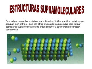En muchos casos, las proteínas, carbohidratos, lipidos y acidos nucleicos se 
agrupan bien entre sí, bien con otros grupos de biomoléculas para formar 
estructuras supramoleculares de orden superior y que tienen un carácter 
permanente. 
 