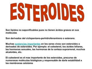 Son lípidos no saponificables pues no tienen ácidos grasos en sus 
moléculas 
Son derivados del ciclopentano-perhidrofenantreno o esterano. 
Muchas sustancias importantes en los seres vivos son esteroides o 
derivados de esteroides. Por ejemplo: el colesterol, los ácidos biliares, 
las hormonas sexuales, las hormonas de la corteza suprarrenal, muchos 
alcaloides, etc. 
El colesterol es el mas importante de los esteroides, precurso de 
numerosas moléculas biológicas y responsable de darle estabilidad a 
las membranas celulares 
 