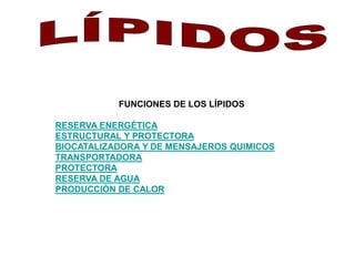 FUNCIONES DE LOS LÍPIDOS 
RESERVA ENERGÉTICA 
ESTRUCTURAL Y PROTECTORA 
BIOCATALIZADORA Y DE MENSAJEROS QUIMICOS 
TRANSPORTADORA 
PROTECTORA 
RESERVA DE AGUA 
PRODUCCIÓN DE CALOR 
 