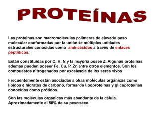 Las proteínas son macromoléculas polímeras de elevado peso 
molecular conformadas por la unión de múltiples unidades 
estructurales conocidas como aminoácidos a través de enlaces 
peptídicos. 
Están constituídas por C, H, N y la mayoría posee Z. Algunas proteínas 
además pueden poseer Fe, Cu, P, Zn entre otros elementos. Son los 
compuestos nitrogenados por excelencia de los seres vivos 
Frecuentemente están asociadas a otras moléculas orgánicas como 
lípidos e hidratos de carbono, formando lipoproteínas y glicoproteínas 
conocidos como prótidos. 
Son las moléculas orgánicas más abundante de la célula. 
Aproximadamente el 50% de su peso seco. 
 
