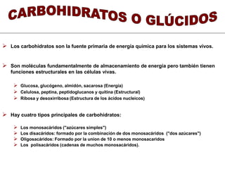  Los carbohidratos son la fuente primaria de energía química para los sistemas vivos. 
 Son moléculas fundamentalmente de almacenamiento de energía pero también tienen 
funciones estructurales en las células vivas. 
 Glucosa, glucógeno, almidón, sacarosa (Energía) 
 Celulosa, peptina, peptidoglucanos y quitina (Estructural) 
 Ribosa y desoxirribosa (Estructura de los ácidos nucleicos) 
 Hay cuatro tipos principales de carbohidratos: 
 Los monosacáridos ("azúcares simples") 
 Los disacáridos: formado por la combinación de dos monosacáridos ("dos azúcares") 
 Oligosacáridos: Formado por la union de 10 o menos monosacaridos 
 Los polisacáridos (cadenas de muchos monosacáridos). 
 
