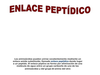 Los aminoácidos pueden unirse covalentemente mediante un 
enlace amida substituido, llamado enlace peptídico dando lugar 
a un peptido. El enlace peptíco se forma por eliminación de una 
molécula de agua entre un grupo carboxilo de uno de los 
aminoácidos y del grupo α-amino del otro 
 