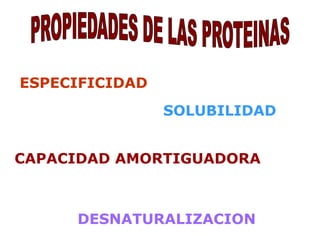 ESPECIFICIDAD 
SOLUBILIDAD 
CAPACIDAD AMORTIGUADORA 
DESNATURALIZACION 
 