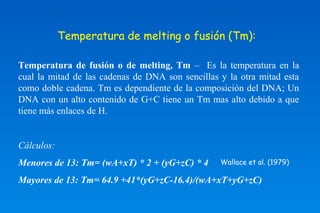 Temperatura de melting o fusión (Tm): 
Temperatura de fusión o de melting, Tm – Es la temperatura en la 
cual la mitad de las cadenas de DNA son sencillas y la otra mitad esta 
como doble cadena. Tm es dependiente de la composición del DNA; Un 
DNA con un alto contenido de G+C tiene un Tm mas alto debido a que 
tiene más enlaces de H. 
Cálculos: 
Menores de 13: Tm= (wA+xT) * 2 + (yG+zC) * 4 
Mayores de 13: Tm= 64.9 +41*(yG+zC-16.4)/(wA+xT+yG+zC) 
Wallace et al. (1979) 
 