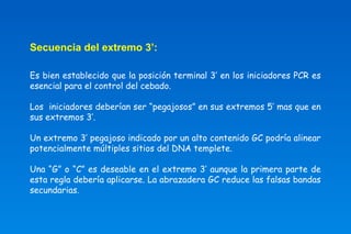 Secuencia del extremo 3’: 
Es bien establecido que la posición terminal 3’ en los iniciadores PCR es 
esencial para el control del cebado. 
Los iniciadores deberían ser “pegajosos” en sus extremos 5’ mas que en 
sus extremos 3’. 
Un extremo 3’ pegajoso indicado por un alto contenido GC podría alinear 
potencialmente múltiples sitios del DNA templete. 
Una “G” o “C” es deseable en el extremo 3’ aunque la primera parte de 
esta regla debería aplicarse. La abrazadera GC reduce las falsas bandas 
secundarias. 
 