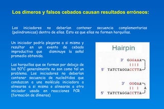 Los dímeros y falsos cebados causan resultados erróneos: 
Los iniciadores no deberían contener secuencia complementarias 
(palindromicas) dentro de ellas. Esto es que ellas no formen horquillas. 
Un iniciador podría plegarse a si mismo y 
resultar en un evento de cebado 
improductivo que disminuye la señal 
promedio obtenida. 
Las horquillas que se forman por debajo de 
los 50°C generalmente no son como tal un 
problema. Los iniciadores no deberían 
contener secuencia de nucleótidos que 
conduzcan a una molécula iniciadora a 
alinearse a si misma o alinearse a otro 
iniciador usado en reacciones PCR 
(formación de dímeros) 
 