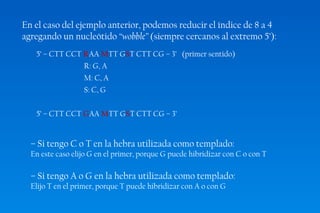 En el caso del ejemplo anterior, podemos reducir el índice de 8 a 4 
agregando un nucleótido “wobble” (siempre cercanos al extremo 5’): 
5’ – CTT CCT RAA MTT GST CTT CG – 3’ (primer sentido) 
R: G, A 
M: C, A 
S: C, G 
5’ – CTT CCT GAA MTT GST CTT CG – 3’ 
– Si tengo C o T en la hebra utilizada como templado: 
En este caso elijo G en el primer, porque G puede hibridizar con C o con T 
– Si tengo A o G en la hebra utilizada como templado: 
Elijo T en el primer, porque T puede hibridizar con A o con G 
 