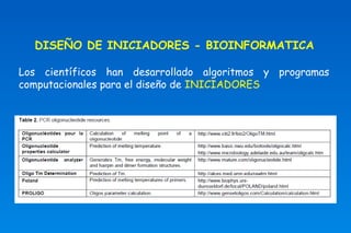 DISEÑO DE INICIADORES - BIOINFORMATICA 
Los científicos han desarrollado algoritmos y programas 
computacionales para el diseño de INICIADORES 
 