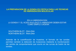 LA PREPARACION DE LA SONDA ES CRITICA PARA LAS TECNICAS 
DE HIBRIDIZACION MOLECULAR 
EN LA HIBRIDIZACION: 
LA SONDA Y EL ACIDO NUCLEICO A HIBRIDIZAR DEBEN ESTAR 
COMO SIMPLE CADENA 
SOUTHERN BLOT: DNA-DNA 
NORTHERN BLOT: RNA-DNA 
Además de la cuantificación de muestras, el formato de las sondas 
permiten también la detección de mutaciones mediante la monitorización 
del cambio de comportamiento que ocurre en las curvas de fusión de las 
sondas. 
 