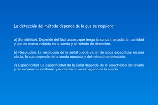 La detección del método depende de lo que se requiera: 
a) Sensibilidad. Depende del fácil acceso que tenga la sonda marcada, la cantidad 
y tipo de marca incluída en la sonda y el método de detección. 
b) Resolución. La resolución de la señal puede variar de sitios específicos en una 
célula, lo cual depende de la sonda marcada y del método de detección. 
c) Especificidad. La especificidad de la señal depende de la selectividad del lavado 
y de secuencias similares que interfieran en el pegado de la sonda. 
 