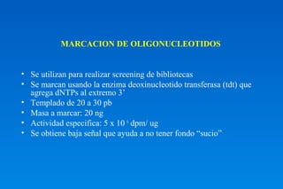 MARCACION DE OLIGONUCLEOTIDOS 
• Se utilizan para realizar screening de bibliotecas 
• Se marcan usando la enzima deoxinucleotido transferasa (tdt) que 
agrega dNTPs al extremo 3’ 
• Templado de 20 a 30 pb 
• Masa a marcar: 20 ng 
• Actividad especifica: 5 x 10 6 dpm/ ug 
• Se obtiene baja señal que ayuda a no tener fondo “sucio” 
 