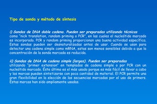 Tipo de sonda y método de síntesis 
i) Sondas de DNA doble cadena. Pueden ser preparadas utilizando técnicas 
como “nick translation, random priming o PCR”, en las cuales el nucleótido marcado 
es incorporado. PCR y random priming proporcionan una buena actividad específica. 
Estas sondas pueden ser desnaturalizadas antes de usar. Cuando se usan para 
detectar una cadena simple como mRNA, estas son menos sensibles debido a que la 
concentración de la sonda marcada es reducida. 
ii) Sondas de DNA de cadena simple (largas). Pueden ser preparadas 
utilizando “primer extension” en templados de cadena simple o por PCR con un 
nucleótido marcado. Éste último es el más usado porque es más fácil de llevar a cabo 
y las marcas pueden sintetizarse con poca cantidad de material. El PCR permite una 
gran flexibilidad en la elección de las secuencias marcadas por el uso de primers. 
Estas marcas han sido ampliamente usadas. 
 