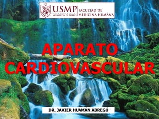APARATO
CARDIOVASCULAR
DR. JAVIER HUAMÁN ABREGÚ
 