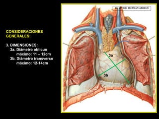 CONSIDERACIONES
GENERALES:
3. DIMENSIONES:
3a. Diámetro oblicuo
máximo: 11 – 12cm
3b. Díámetro transverso
máximo: 12-14cm
Dr. JAVIER. HUAMÁN ABREGÚ
3a
3b
 