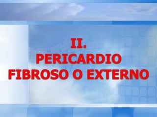 II.
PERICARDIO
FIBROSO O EXTERNO
 