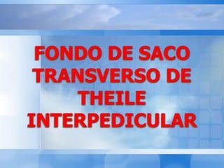 FONDO DE SACO
TRANSVERSO DE
THEILE
INTERPEDICULAR
 