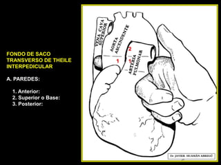 FONDO DE SACO
TRANSVERSO DE THEILE
INTERPEDICULAR
A. PAREDES:
1. Anterior:
2. Superior o Base:
3. Posterior:
1
6
Dr. JAVIER. HUAMÁN ABREGÚ
1
2
 