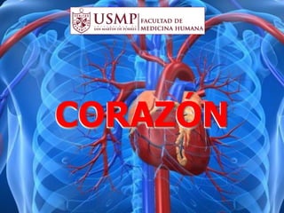 CORAZÓN
 