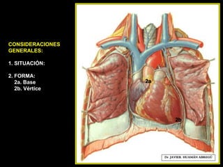 CONSIDERACIONES
GENERALES:
1. SITUACIÓN:
2. FORMA:
2a. Base
2b. Vértice
Dr. JAVIER. HUAMÁN ABREGÚ
2b
2a
 