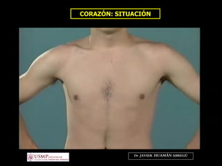 CORAZÓN: SITUACIÓN
Dr. JAVIER. HUAMÁN ABREGÚ
 