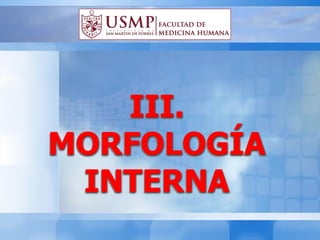 III.
MORFOLOGÍA
INTERNA
 
