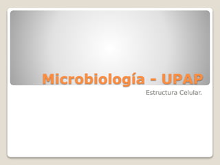 Microbiología - UPAP
Estructura Celular.
 