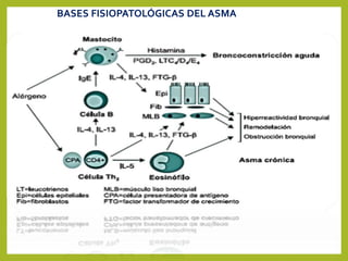 BASES FISIOPATOLÓGICAS DEL ASMA
 