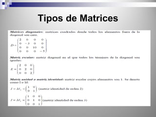 Tipos de Matrices