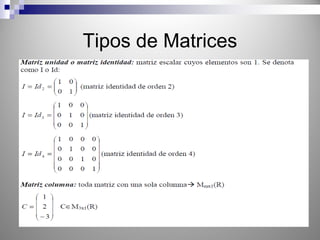 Tipos de Matrices
