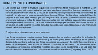 CLASE 3.BIOMECANICA. BASES NEUROMUSCULARES DEL MOVIMIENTO DEL CUER´PO HUMANO.pptx